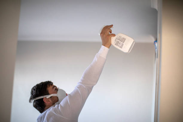 Best Professional Mold Removal  in Loudonville, NY