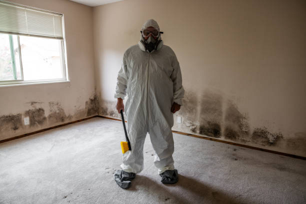 Best Commercial Mold Removal  in Loudonville, NY